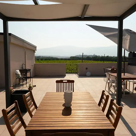 Tenuta Tre Gemme In Cantina- Renascenzia Santirene Catignano