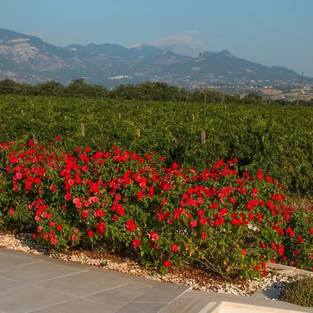 Tenuta Tre Gemme In Cantina- Renascenzia Santirene