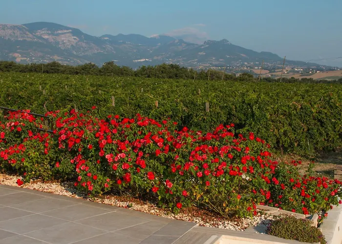 Tenuta Tre Gemme In Cantina- Renascenzia Santirene
